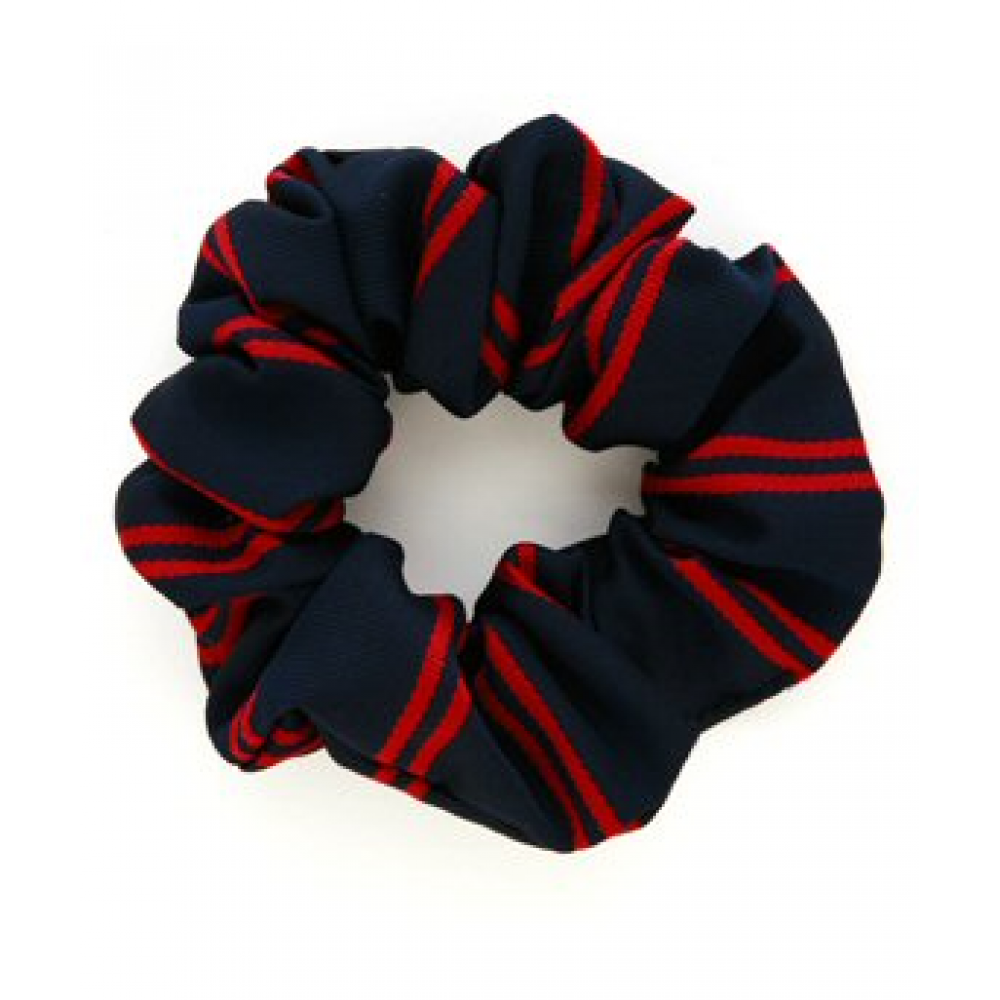 Striped Scrunchie - DS101SC