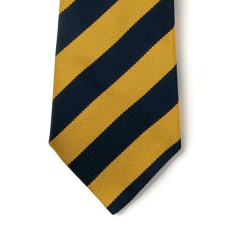 Striped Ties - Navy & Gold