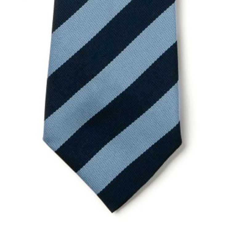 Striped Ties - Navy & Saxe