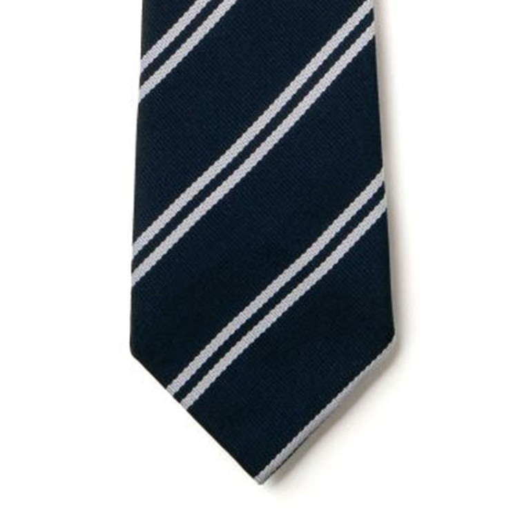 Striped Ties - Navy & White