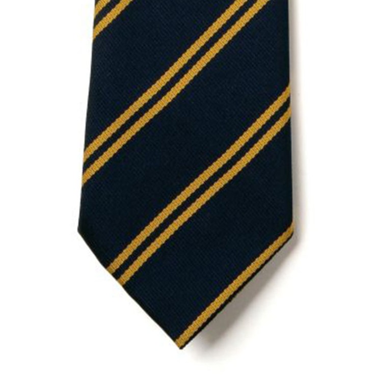 Striped Ties - Navy & Gold