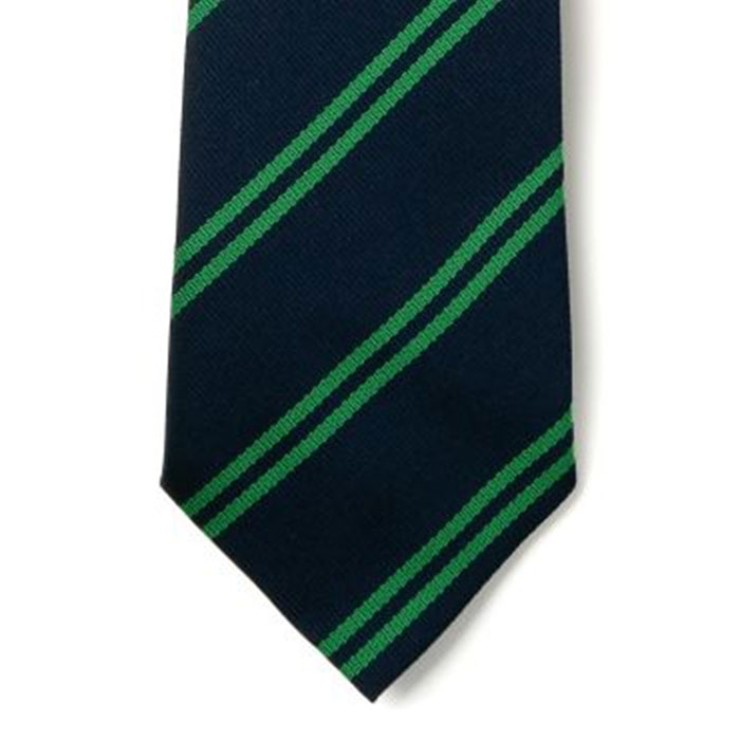 Striped Ties - Navy & Green