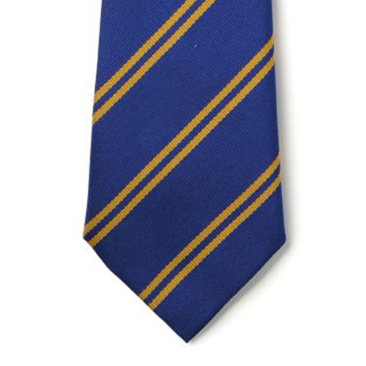 Striped Ties - Royal & Gold