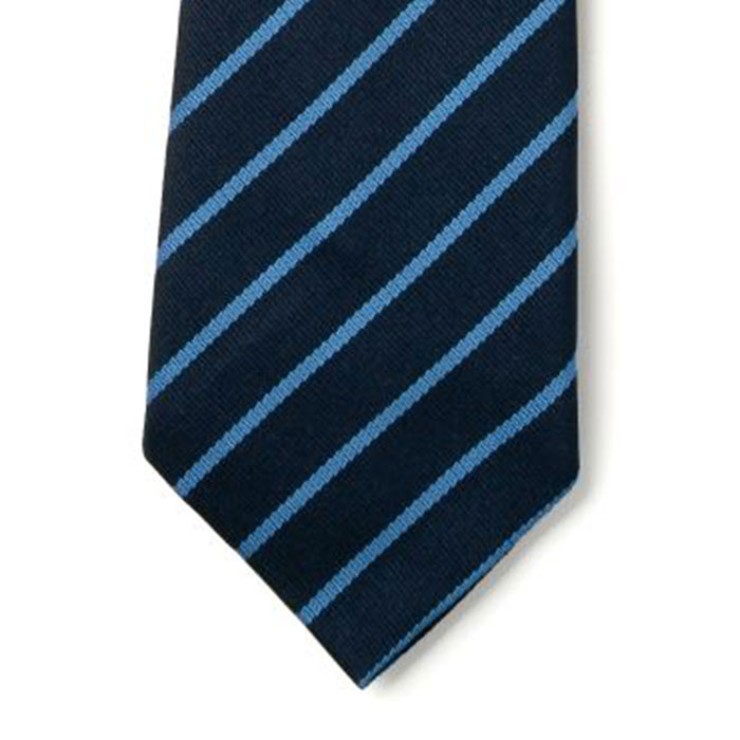 Striped Ties - Navy & Saxe
