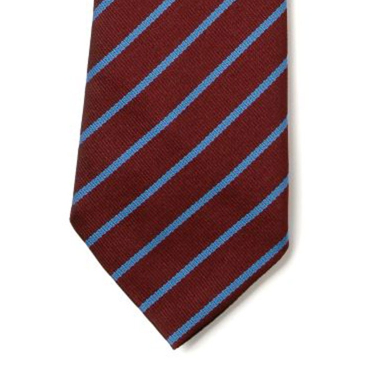 Striped Ties - Maroon & Saxe