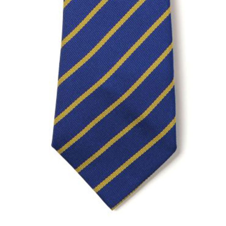 Striped Ties - Royal & Gold