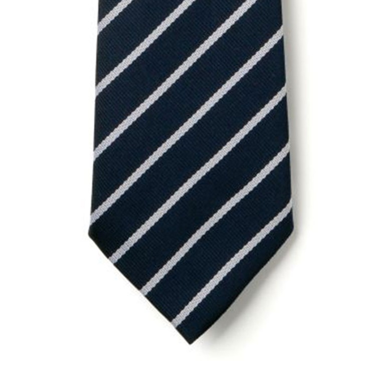 Striped Ties - Navy & White