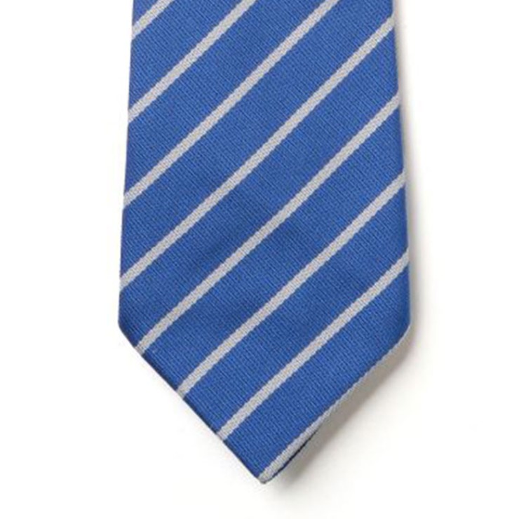Striped Ties - Royal & White