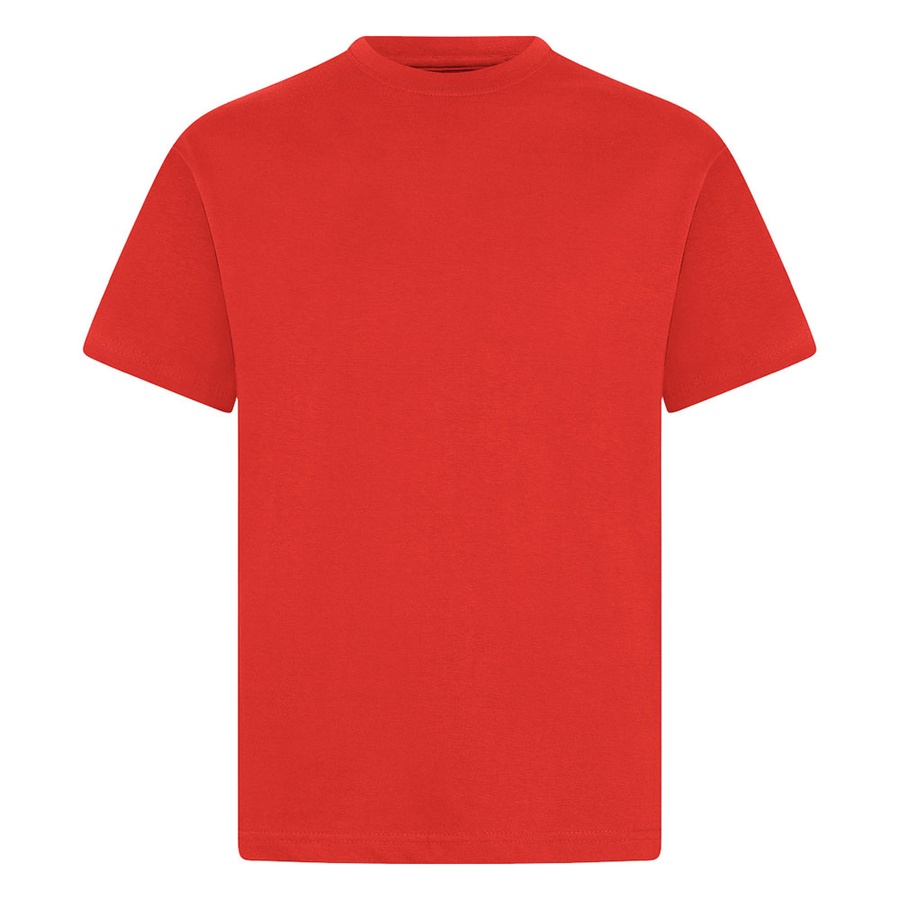 Adult Crew Neck T-Shirts (Colours)