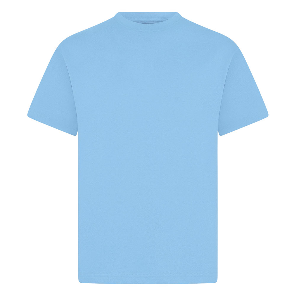 Junior Crew Neck T-Shirt (Colours)