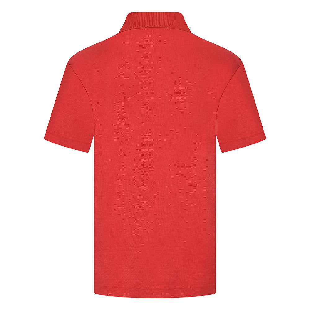 Polo Shirt (Colours)
