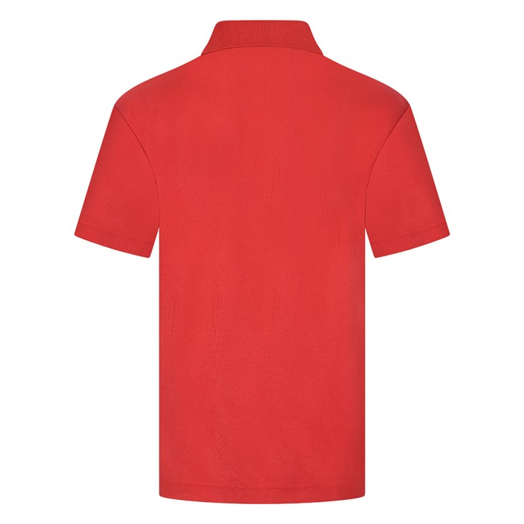 Polo Shirt (Colours)
