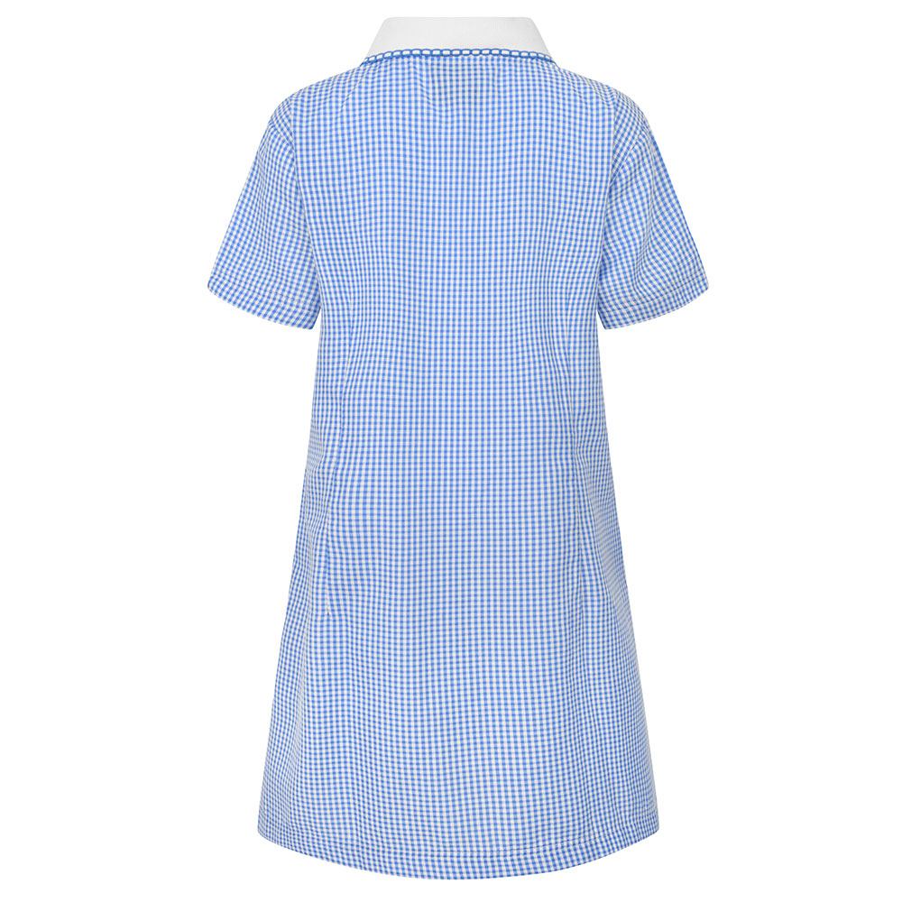 A-Line Gingham Eco-Dress