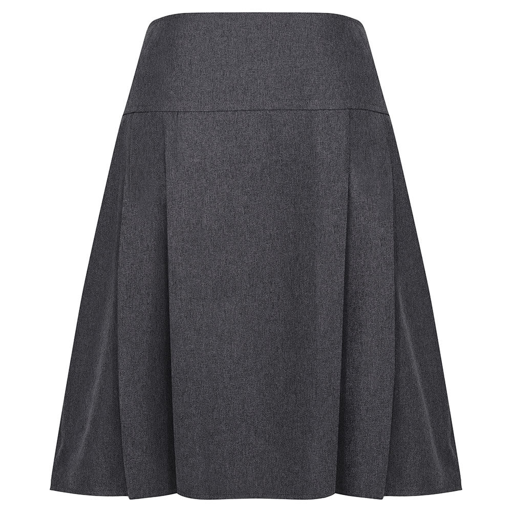 Drop Waist Pleated Skirt